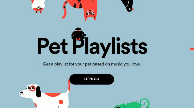 music to play for dogs
