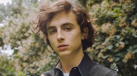timothee chalamet