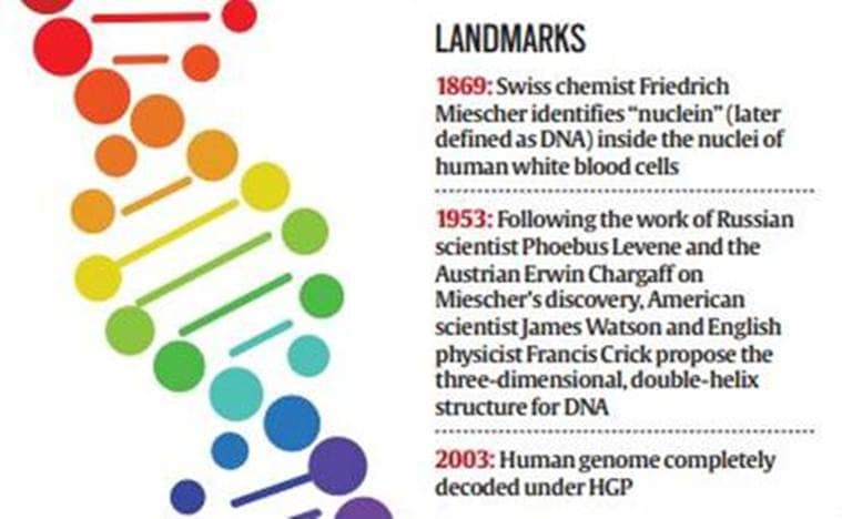 human genome landmarks sections