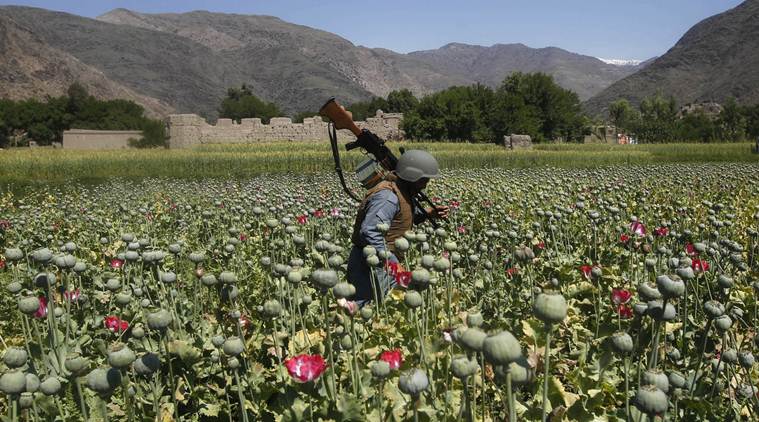 Afghanistan: Nine homeless drug users shot dead by unidentified gunmen in Kabul
