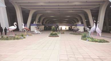 COP13, Narendra modi, Convention on Migratory Species of Wild Animals, Paris Agreement goal, gandhinagar news, gujarat news, indian express news