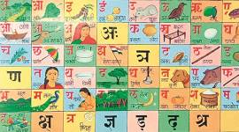 Chhattisgarh, Chhattisgarh Education reforms, Tribal languages, education in Chhattisgarh pre-school, Chhattisgarh school in tribals, Chhattisgarh news