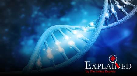 Explained: What is genome mapping?