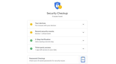 Google Security Check, Safer Internet Day, Safer Internet Day tips, How to turn on two step verification, Google Two step verification