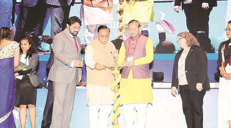 Pakistan at UN meet, United Nations, Conservation of Migratory Species, CMS COP13, Great Indian Bustard, gujarat news, indian express news