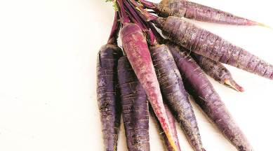 kanji, beverages, fermented carrot drink, dark carrots, eye 2020, sunday eye, indian express, indian express news