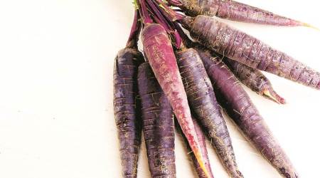 kanji, beverages, fermented carrot drink, dark carrots, eye 2020, sunday eye, indian express, indian express news