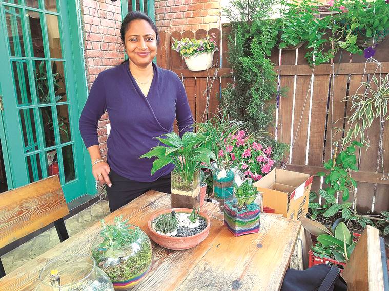 what to gift, gift suggestions, plant as gift, Arpana Deshpande, indian express news, indian express talk