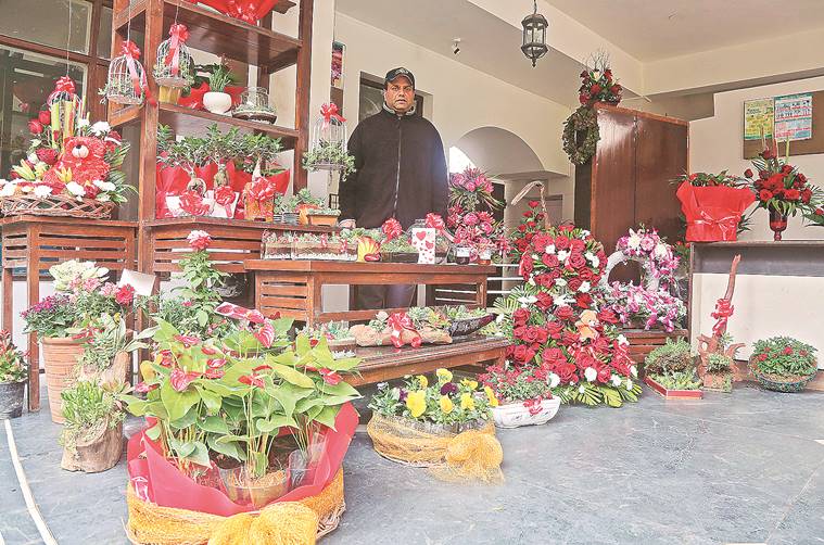 what to gift, gift suggestions, plant as gift, Arpana Deshpande, indian express news, indian express talk