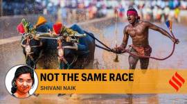 srinivasa gowda, srinivasa gowda kambala, srinivasa gowda usain bolt, india usain bolt, india kambala race