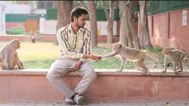 Eeb Allay Ooo!, Shardul Bhardwaj, movie release, Naina Sareen, entertainment news, movie on animals, indian express