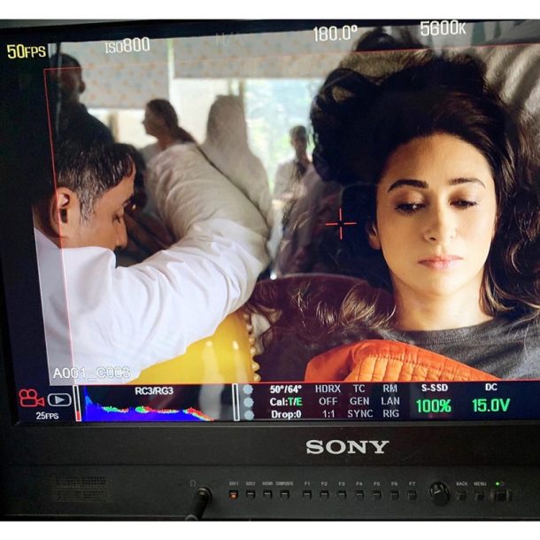 karisma kapoor webseries mentalhood