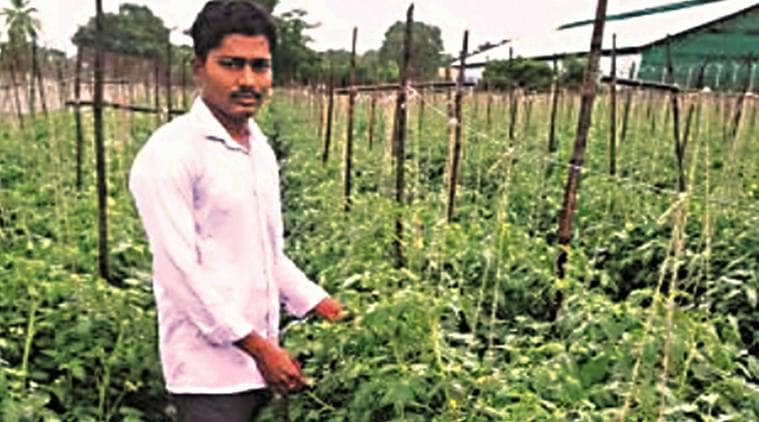 Integrated Nutrient Management: Soil health cards for sustainable agriculture