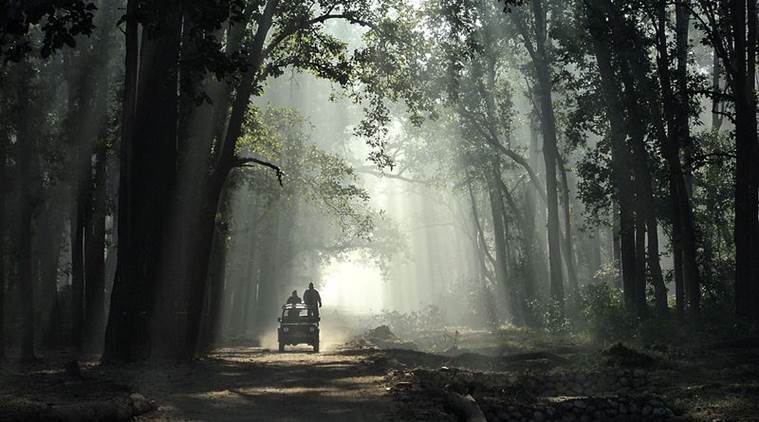 Uttarakhand forest act, forest conservation act, uttrakhand forest law, forest law protest uttarakhand, aarey forest cutting, indian express news
