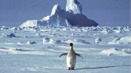 coronavirus, coronavirus antarctica, antarctica, antarctica covid cases