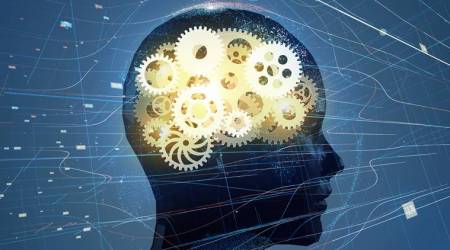 brain, brain activity, brain activity in humans, brain activity study, indian express news