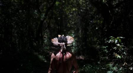 Brazil indigenous protest new government moves on their lands