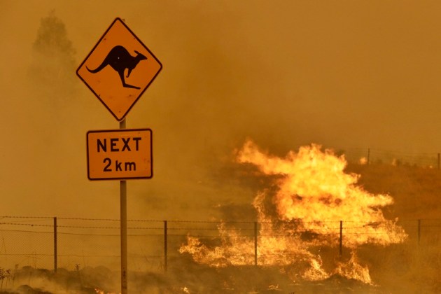 Australia bushfires. australia fires, australia wildfire photos, australia wildfires, australia forest fires, australia fires impact, asutralia fire, canberra wildfire, australia bushfires, world news, indian express