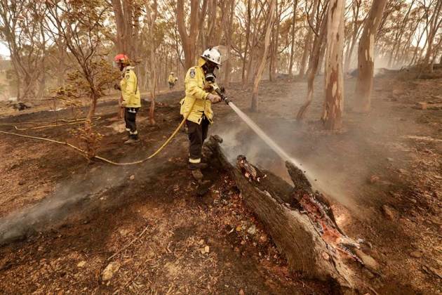 Australia bushfires. australia fires, australia wildfire photos, australia wildfires, australia forest fires, australia fires impact, asutralia fire, canberra wildfire, australia bushfires, world news, indian express