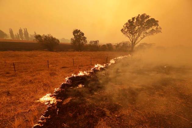 Australia bushfires. australia fires, australia wildfire photos, australia wildfires, australia forest fires, australia fires impact, asutralia fire, canberra wildfire, australia bushfires, world news, indian express