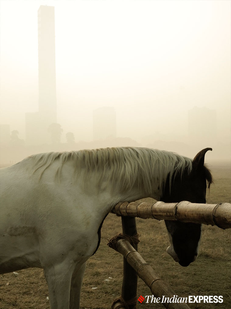 Sigma fp, Sigma, Sigma fp review, Sigma fp price, Sigma fp specifications, Sigma fp features