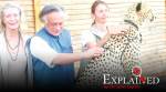 Explained: To import cheetahs, or not to