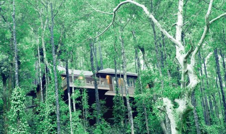 Coorg, Chikmagalur, Kodagu, coffee plantation, bellada coffee, coffee processing experiential programme