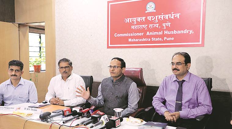 Poultry products don't cause coronavirus in humans: Experts | Cities News,The Indian Express Poultry products don't cause coronavirus in humans: Experts | Cities News,The Indian Express