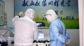 coronavirus india, coronavirus cases, coronavirus chandigarh, chandigarh city news, coronavirus pgimer