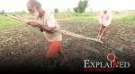 How crop insurance changes