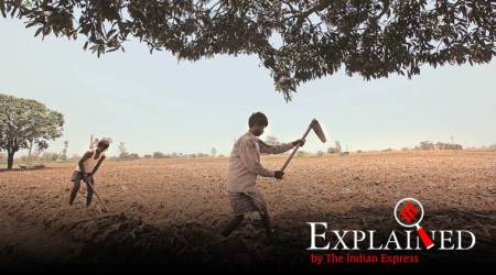 punjab farmers, punjab loan waiver, punjab landless farmers, punjab news, indian express news