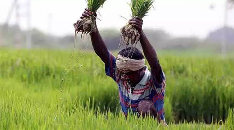 Crop insurance, Crop insurance scheme, Farmers, Agriculture, Ministry of State for Agriculture, Farmers union, Agriculture ministry, state government, Indian Express news, Latest news