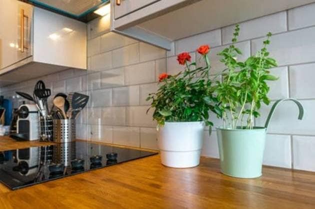 eco-friendly kitchen tips