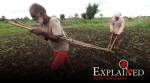 How crop insurance changes