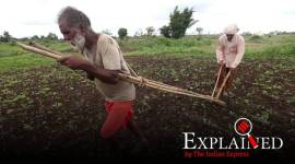 Explained: How crop insurance changes