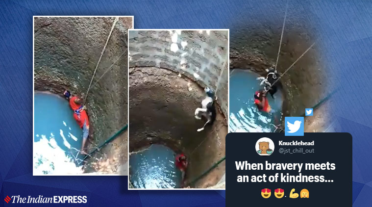 Watch: Mangalore woman climbs down a well to rescue stray dog | Trending  News,The Indian Express