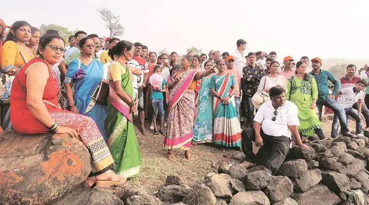 Kalinje Ecotourism, Kalinje Ecotourism group, mangroves, marine life, Maharashtra news, indian express