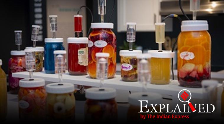 Explained: What is fermentophone?