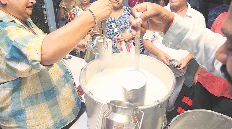 How much milk does the country produce? | India News - The Indian Express