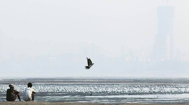 mumbai pollution, mumbai weather, India Meteorological Department, IMD mumbai, mumbai news, maharashtranews, indian express news