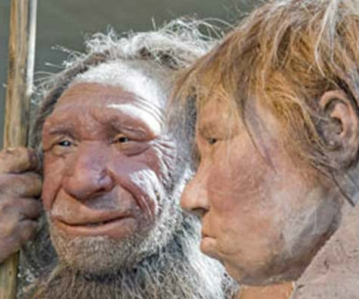 Neanderthal genes, Neanderthals, Humans, Human migration, Neanderthals migrated from Africa, Human evolution