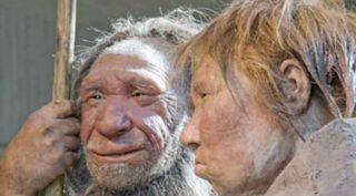 Neanderthal genes, Neanderthals, Humans, Human migration, Neanderthals migrated from Africa, Human evolution