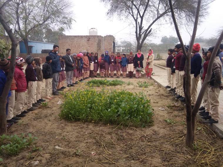 In Punjab district, signs of green shoots: Organic vegetable gardens in schools