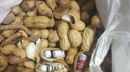 IGI airport smuggling, IGI airport smuggling peanuts, IGI airport smuggling meatballs, Delhi city news