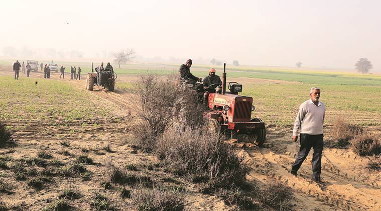 A team of officials and farmers during a locust control operation at 10S village along the India-Pak border at Rajasthan’s Sri Ganganagar. (Gurmeet Singh)