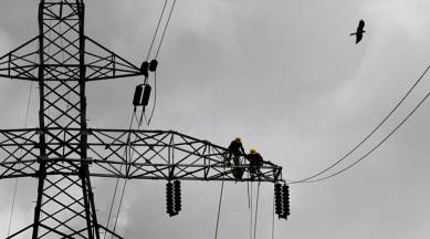 Experts concerned about risks posed by power lines to birds