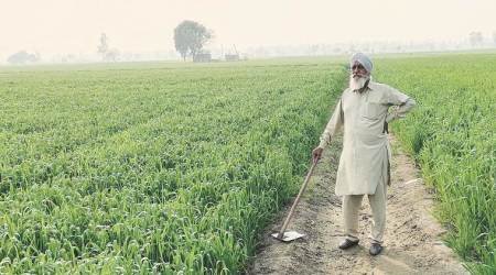 Haryana interest-free loans to farmers, interest-free loans to Haryana farmers, Haryana farmers, India news, Indian Express