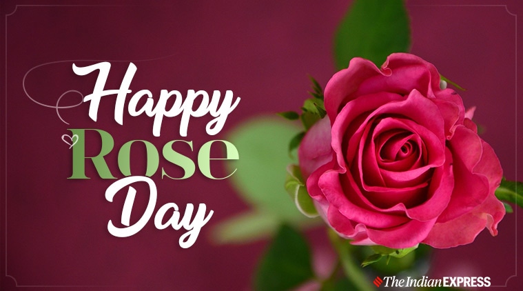 Happy Rose Day Images 2021: Wishes Quotes, Images, Status, Greetings 