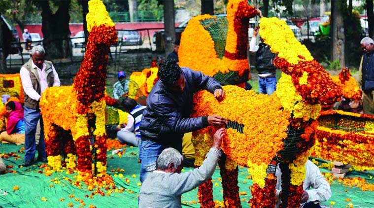 Say no to plastic, yes to greenery at 48th Rose Festival