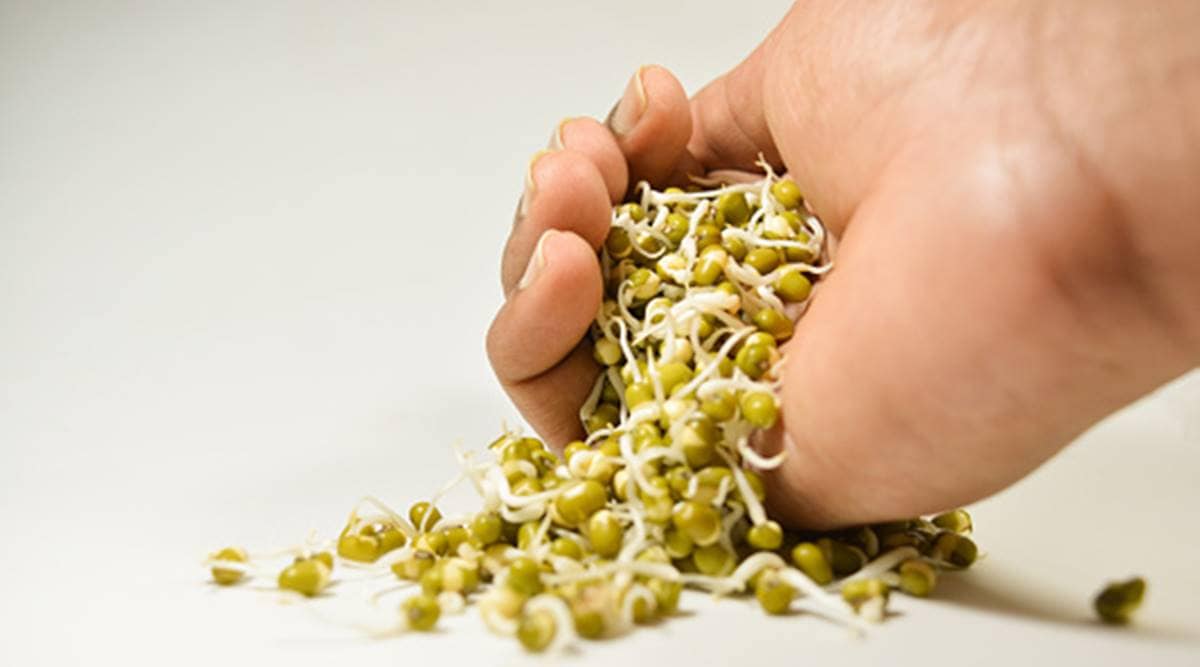 Are raw sprouts safe to eat during pregnancy? Here's what a doctor ...